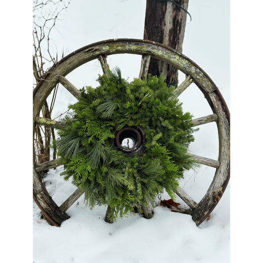Mixed Pine Wreath - Plain, Ready to Decorate