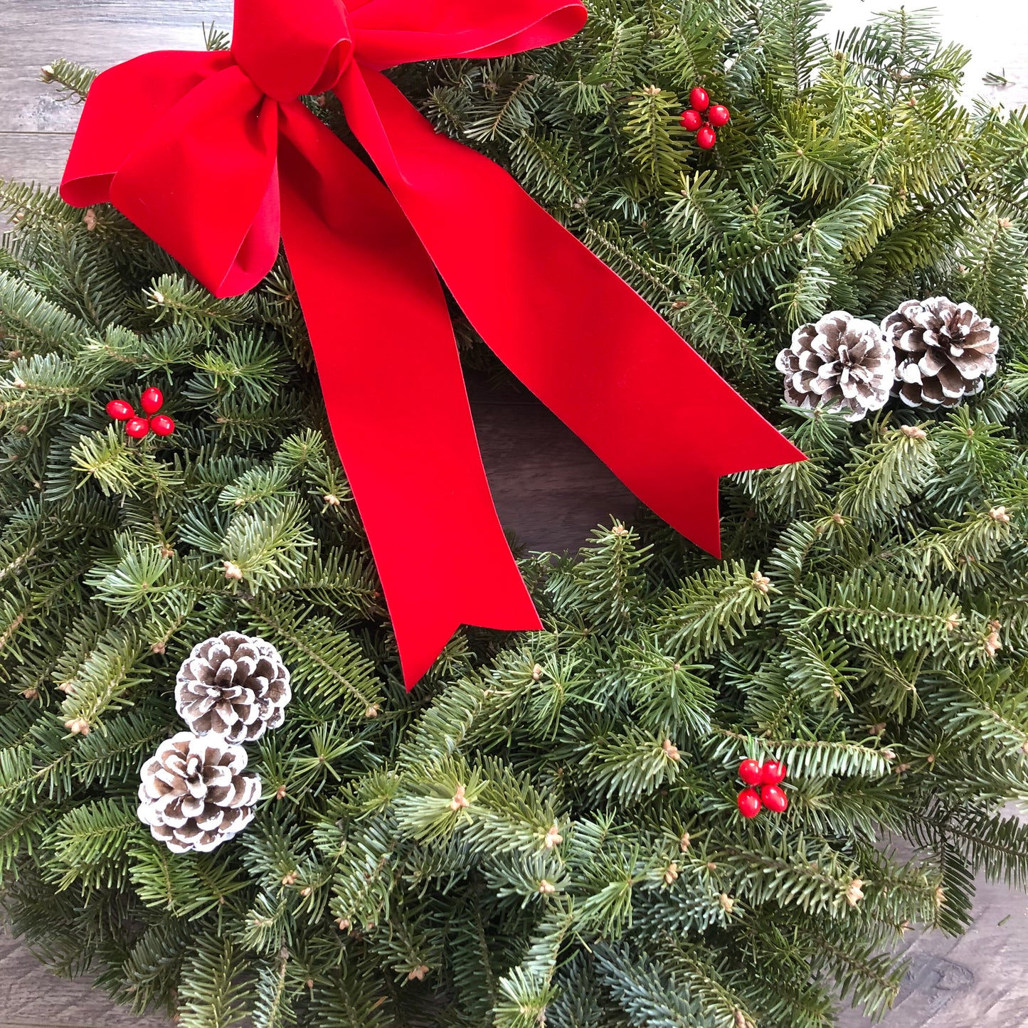 White Tipped Pinecones, Red Pine Pinecones for Decor, Crafts and Wreaths