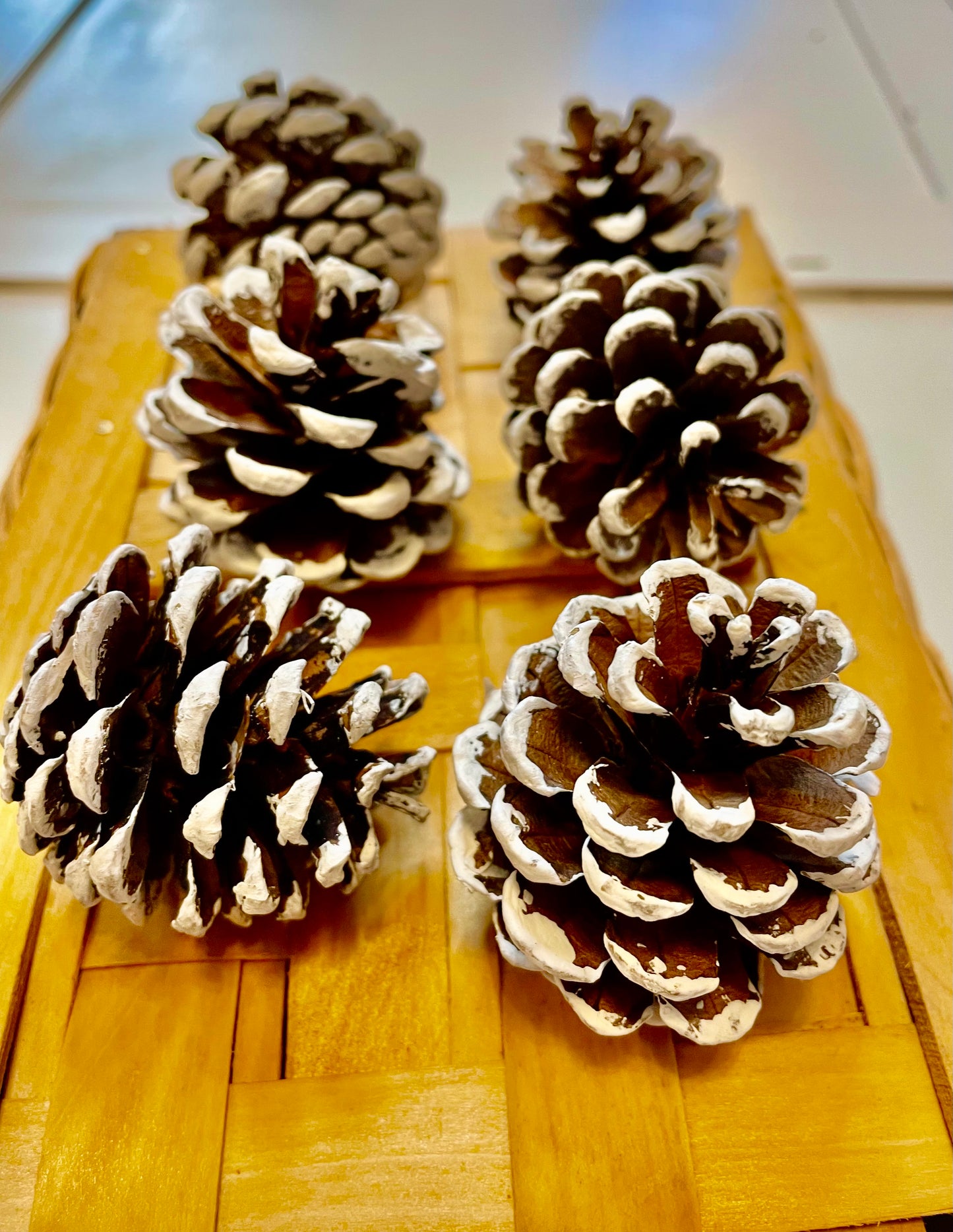 White Tipped Pinecones, Red Pine Pinecones for Decor, Crafts and Wreaths