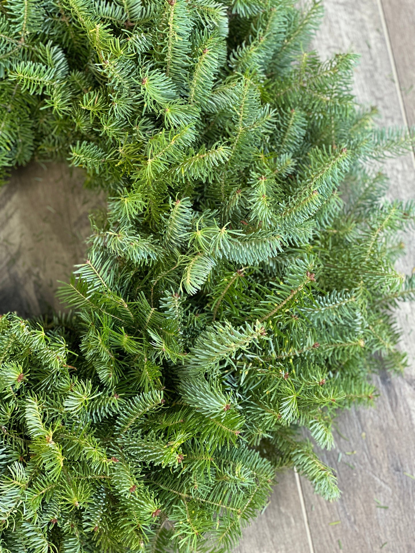 Fresh Balsam Wreath with Gold Bow
