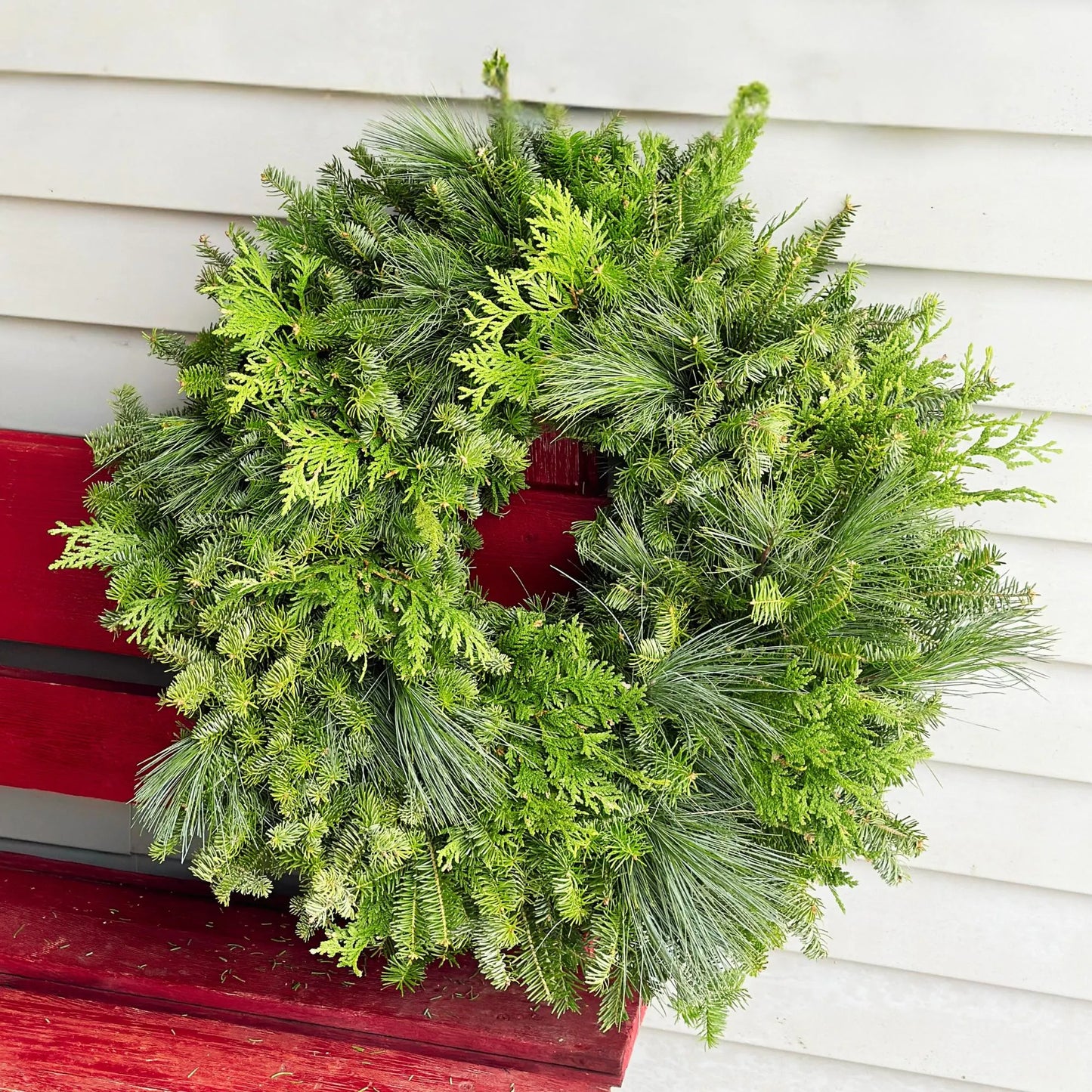 Mixed Pine Wreath - Plain, Ready to Decorate