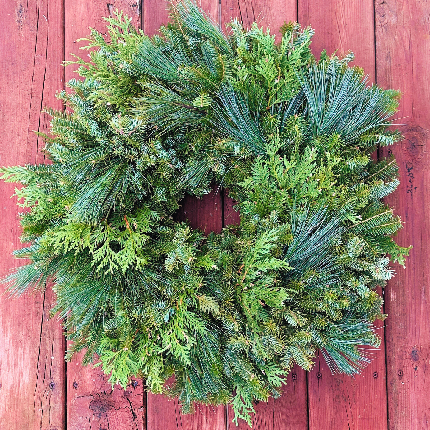 Mixed Pine Wreath - Plain, Ready to Decorate