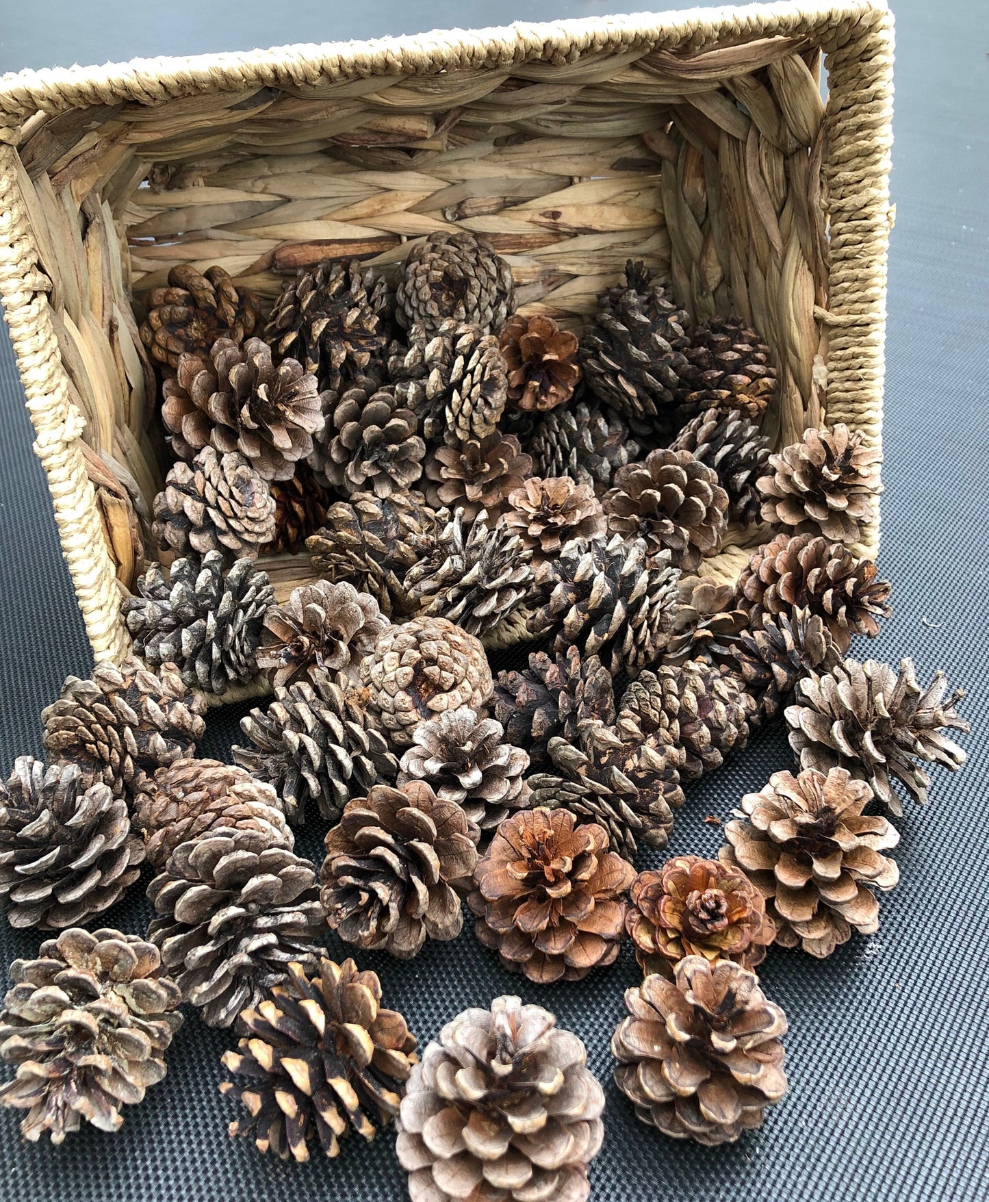 Pinecones, Red Pine Pinecones for Decor, Crafts and Wreaths