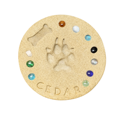 DIY Paw Print Stepping Stone Kit - Personalized Garden Memorial
